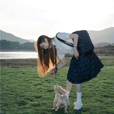 妙探乌龙记